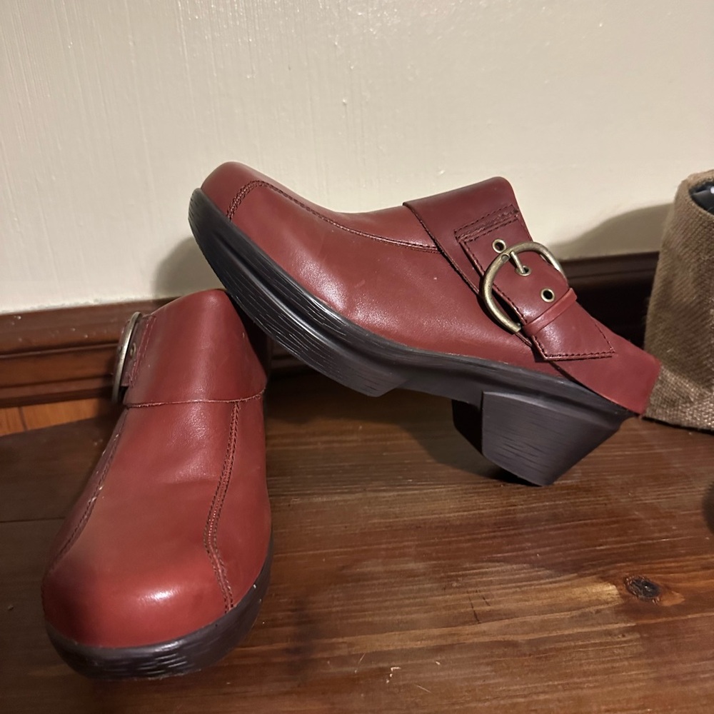Sanita shoes